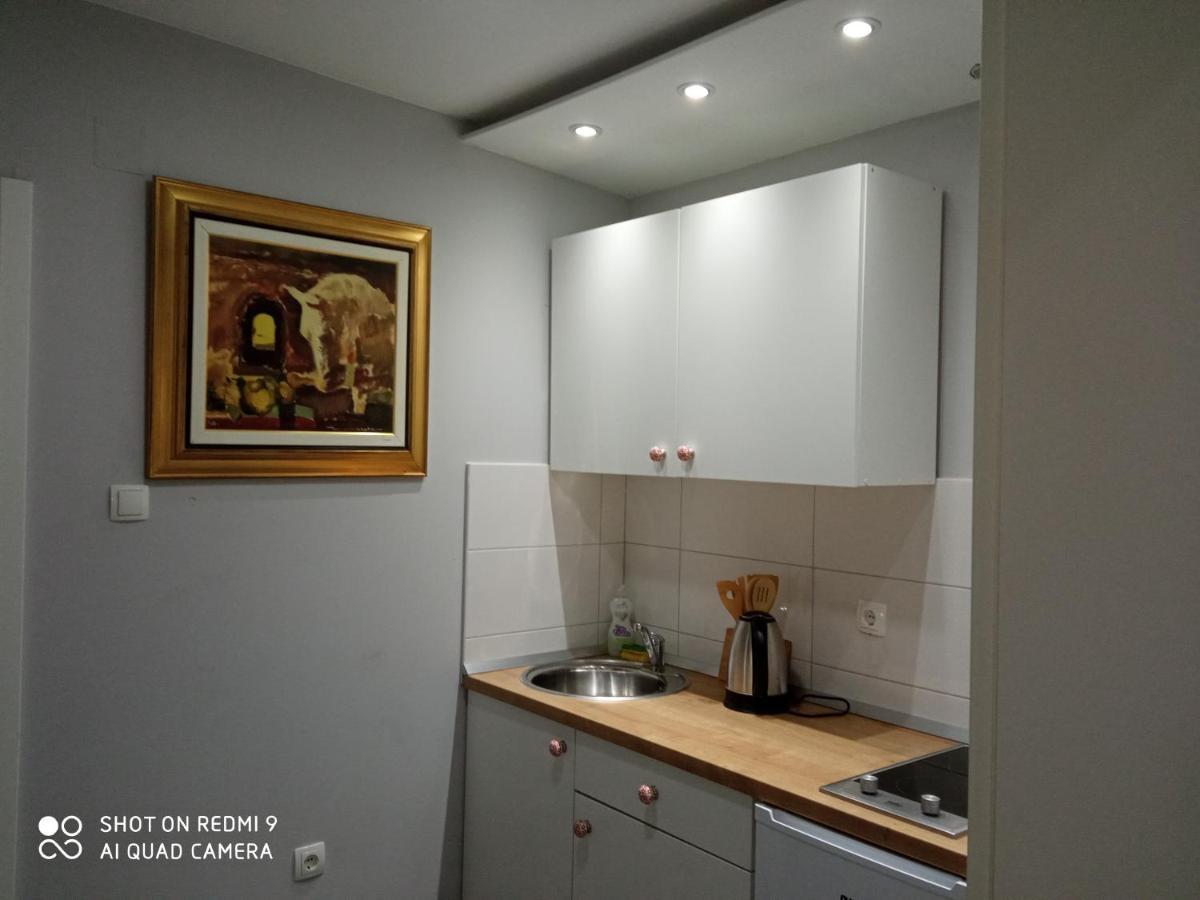 Villa Lucia - Apartments&Rooms Σλαβόνσκι Μπροντ Εξωτερικό φωτογραφία