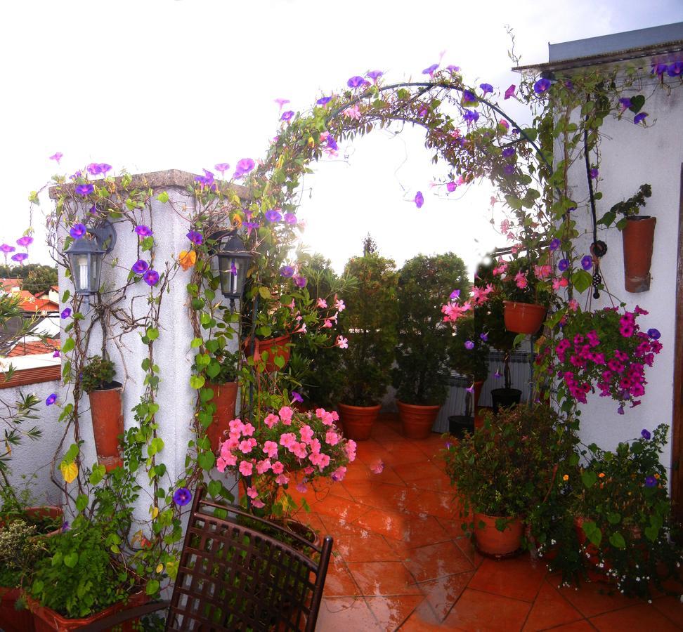 Villa Lucia - Apartments&Rooms Σλαβόνσκι Μπροντ Εξωτερικό φωτογραφία